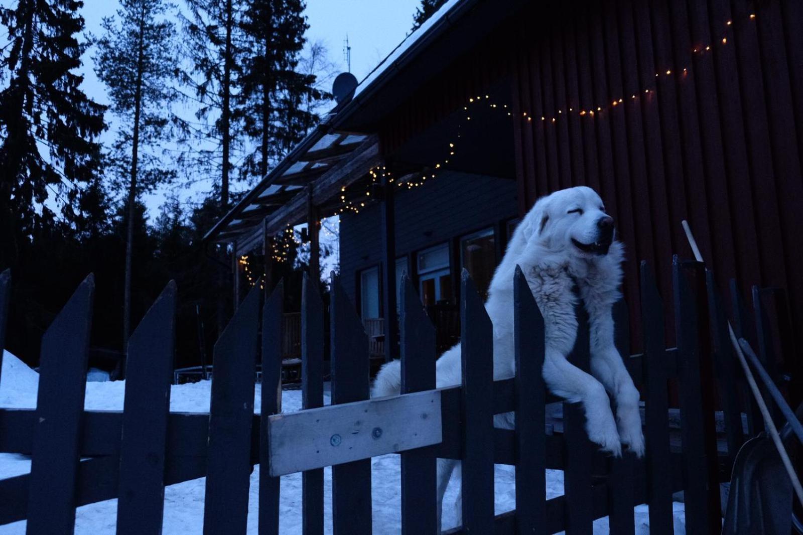 Laplandbike Arctic Circle